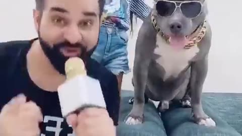 Lemon juice with dog