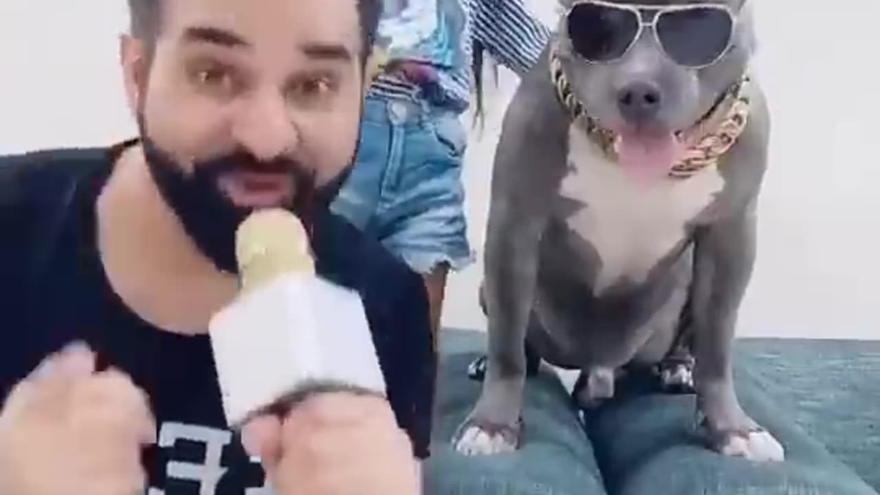 Lemon juice with dog