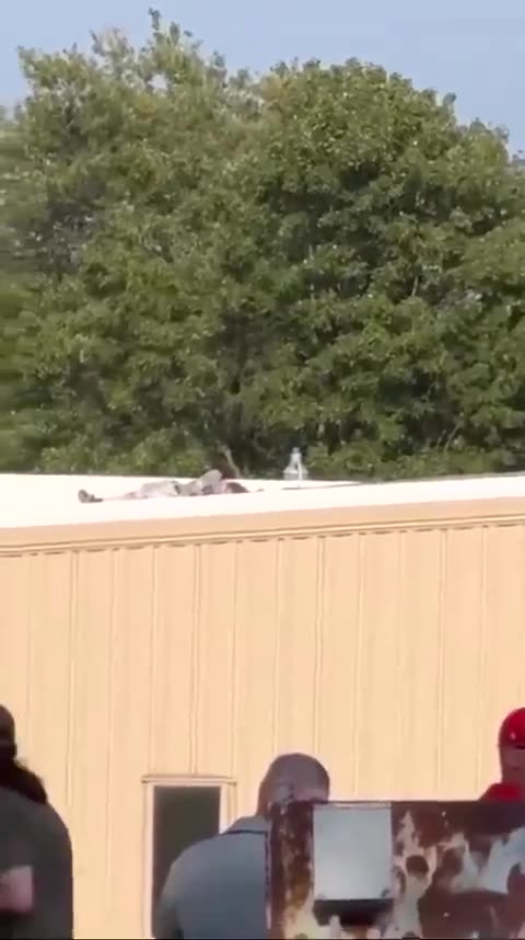 Trump shooter seen dead on roof following assassination attempt