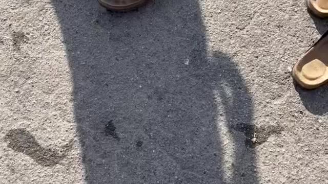 Man defies the Laws of Physics LOL 😂😂😂