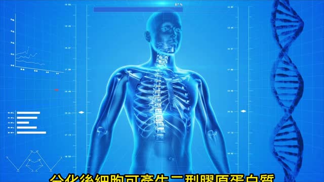退化性關節炎 細胞療法