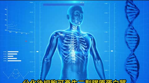 退化性關節炎 細胞療法