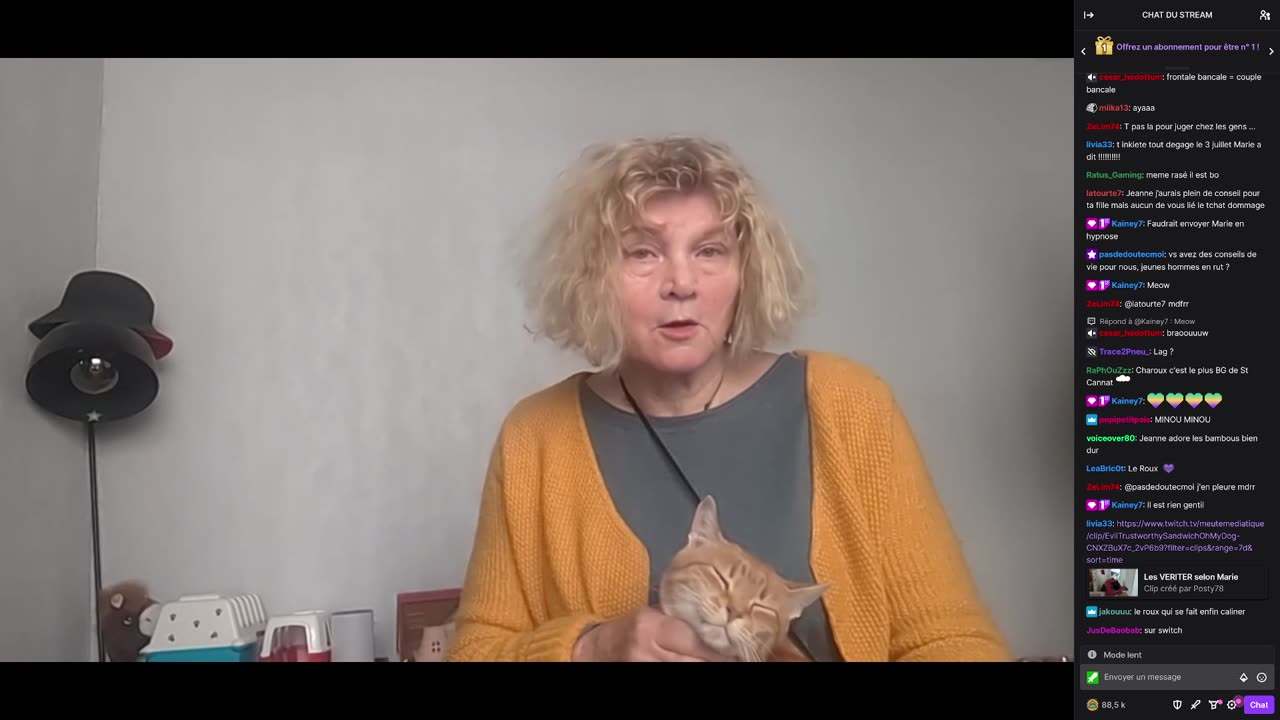 2023-04-13 (1bis.2) - Jeanne en a gros + lettre logements sociaux - Meutemediatique (avec chat)