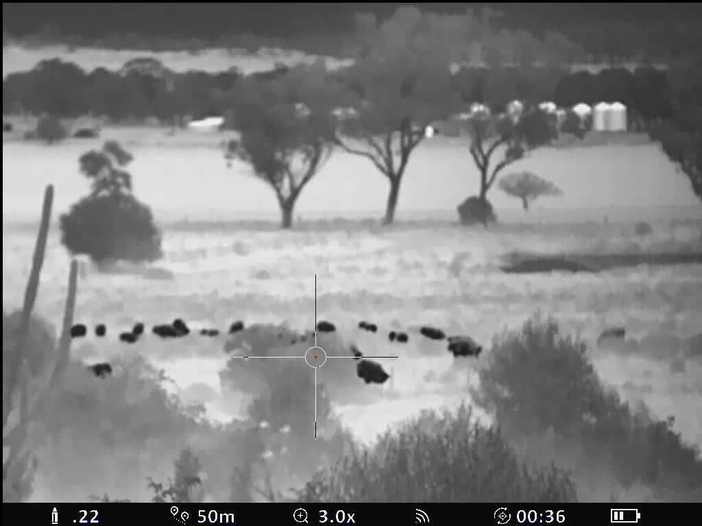 iAiming iA-317 Thermal Scope - Sheep 200m to full Zoom