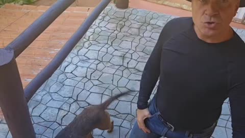 Is your dog your best friend?