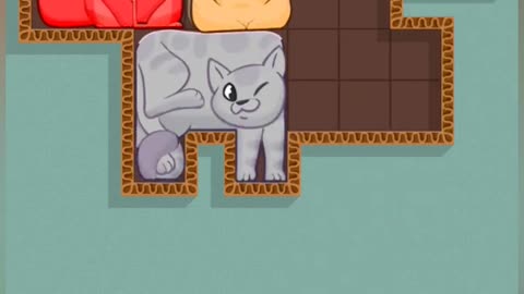 playinmg puzzle cat
