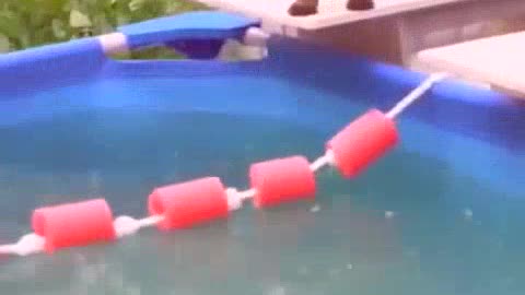 Funniest Animals 01