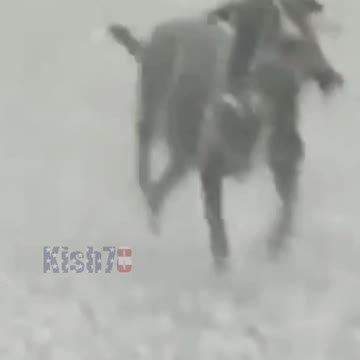 Mother is the greatest n sweetest word in the world