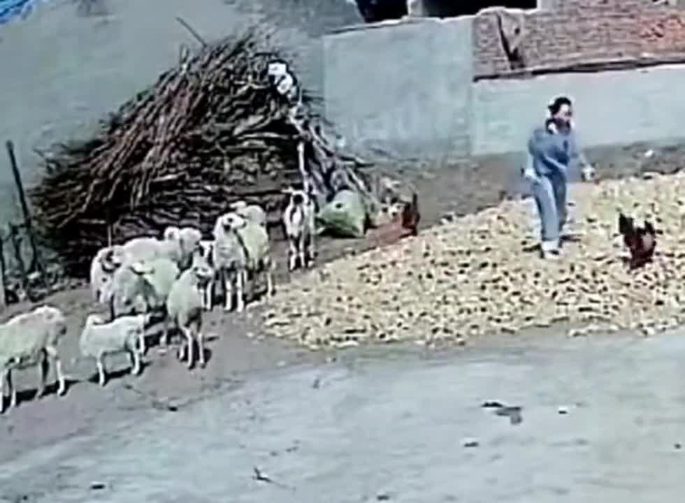 ΔΕΝ ΗΞΕΡΕ ΤΙ ΤΗΝ ΠΕΡΙΜΕΝΕΙ