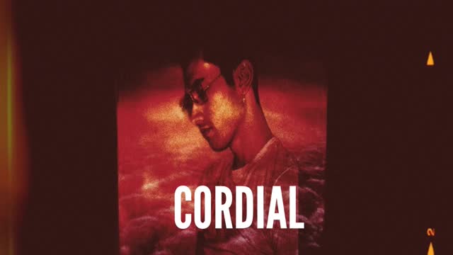 MVSA - CORDIAL