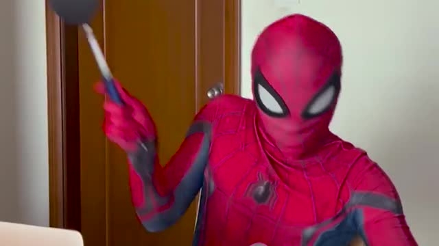 Spider-Man vs CatCute Cat #cats #pets