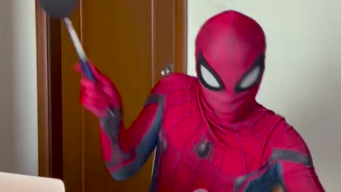 Spider-Man vs CatCute Cat #cats #pets