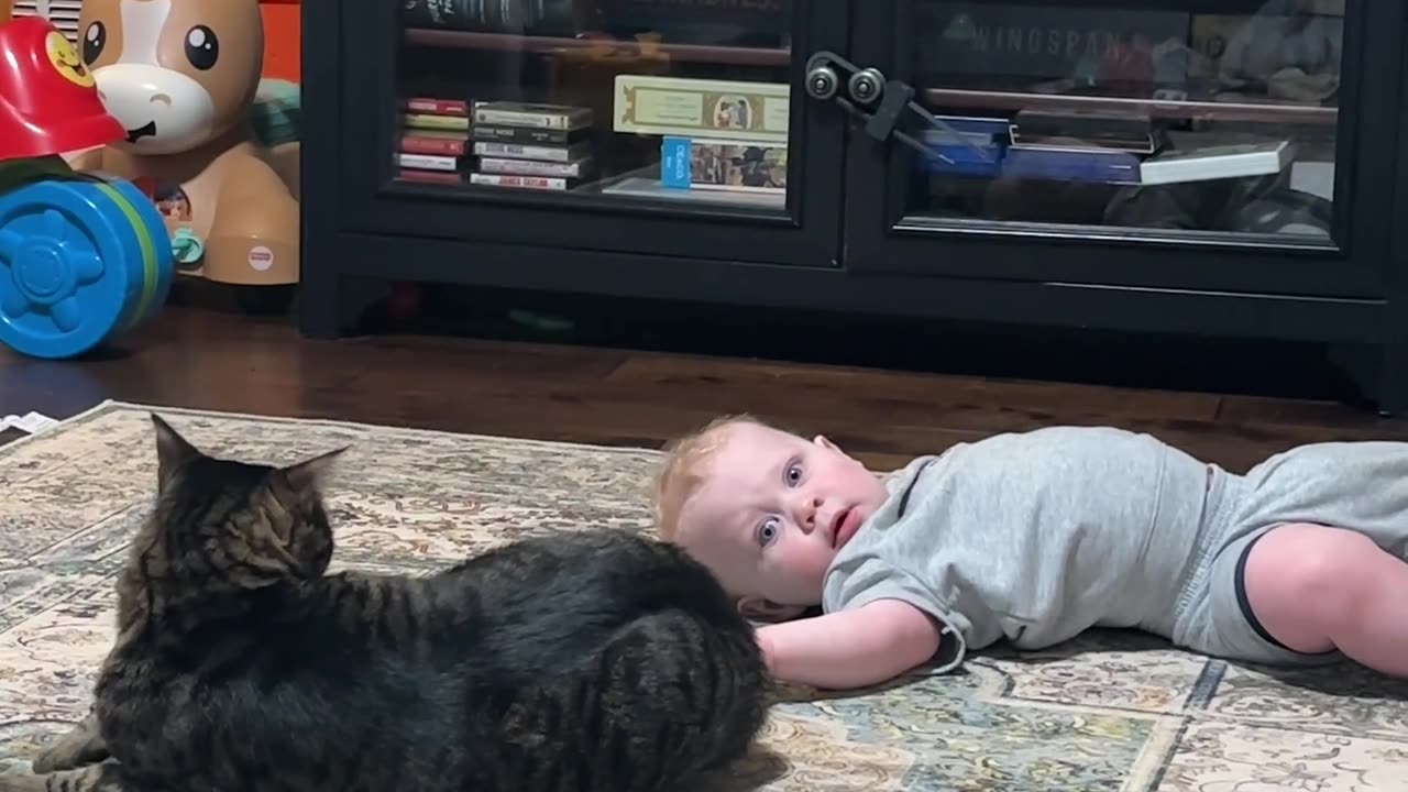 Toddler Stumbles Into Cat