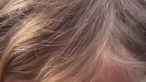 This is the only video you need to watch on mask mandates.