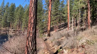 End of Hike Returning to Trailhead – Metolius River – Central Oregon