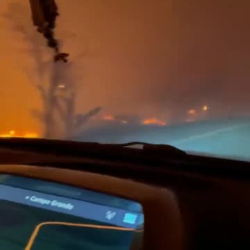 Pantanal em chamas: governo de Mato Grosso do Sul decreta situação de emergência