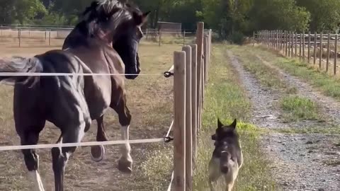 Race me! 😁😁
