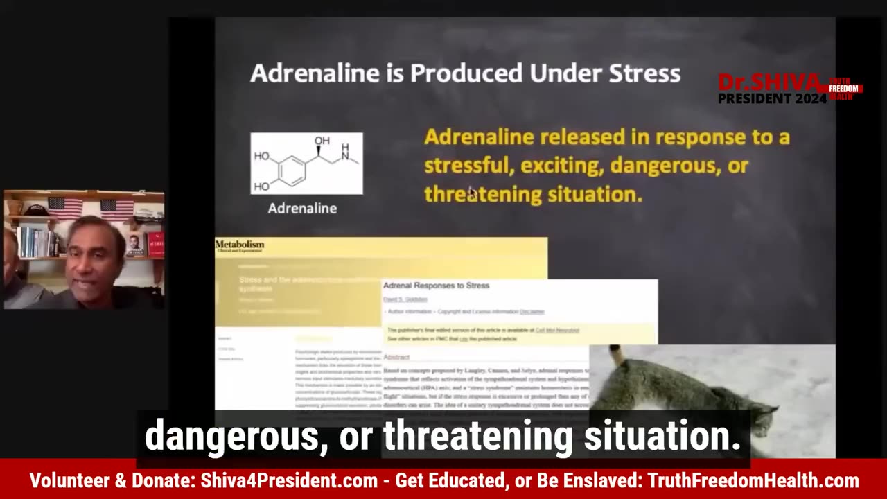 Adrenochrome - Dr. Shiva
