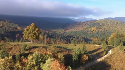 Enchanting Autumn Forests with Beautiful Piano Music