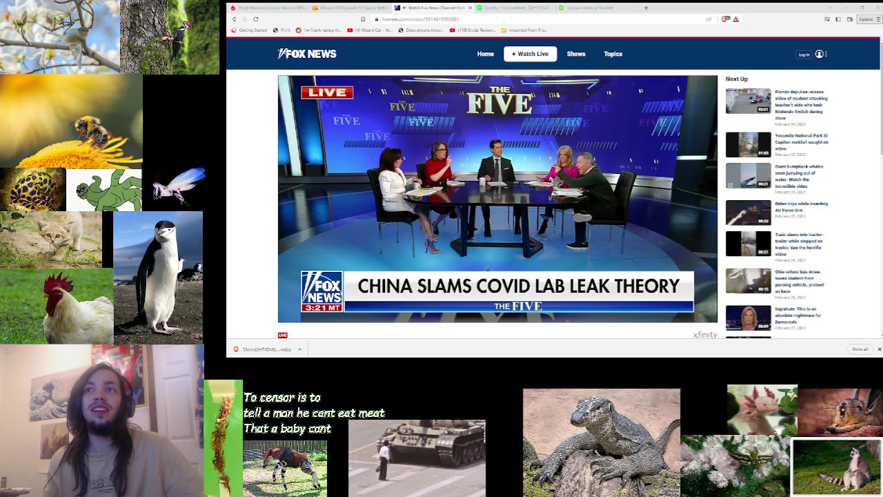 The Five 3/1/2023 Watchalong