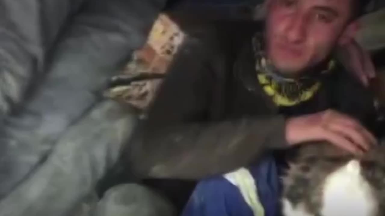 A dog has been rescued after 23 days under earthquake rubble in Turkey.