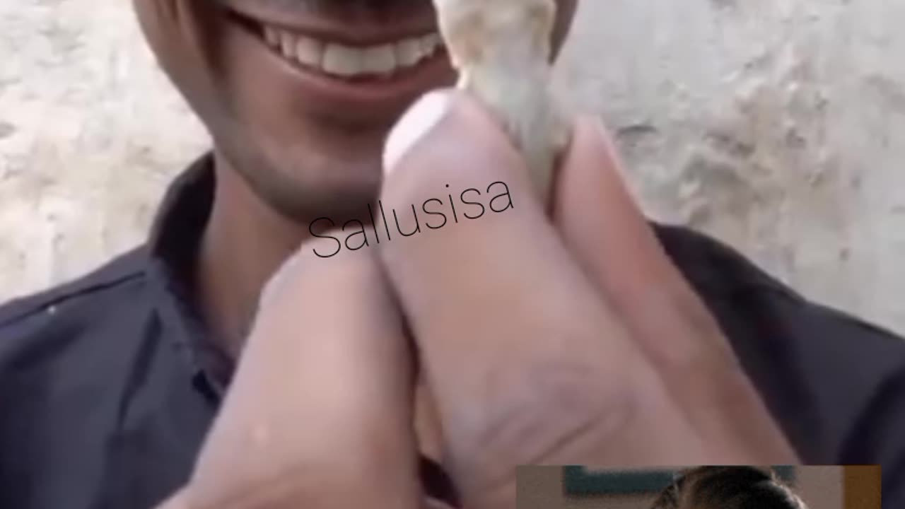 Human 🙋 being play with Lizard 🦎ØMG 🙀