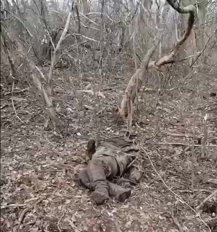 Russian sappers are very carefully inspecting the captured stronghold