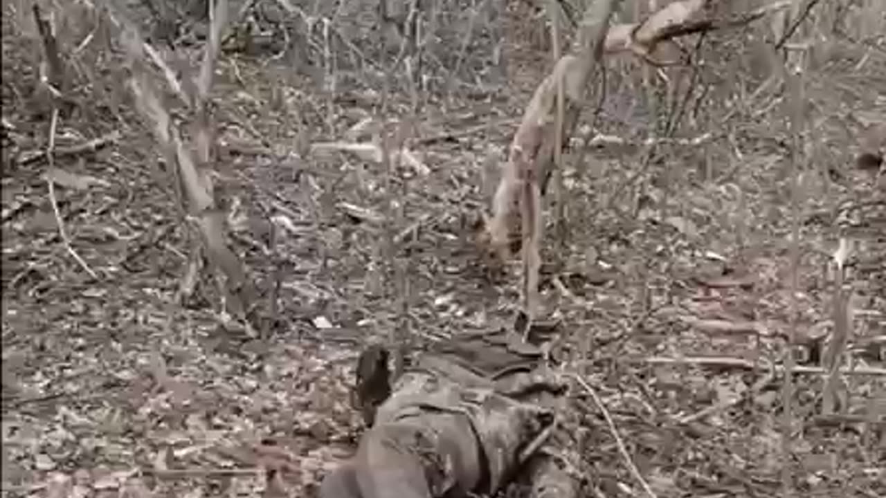 Russian sappers are very carefully inspecting the captured stronghold