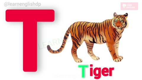 Learn the English Alphabet_ A to Z in 5 Minutes with Some picture Vocabulary