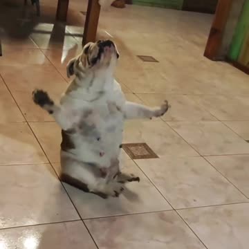 Dancing like noone is watching!