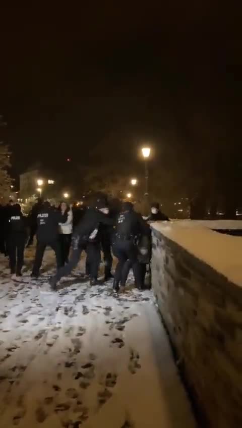 Germany - Police attack Protestors