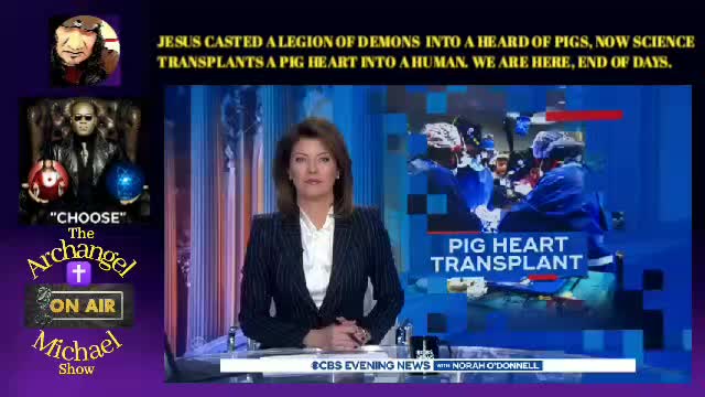 A pigs heart transplanted into a man.