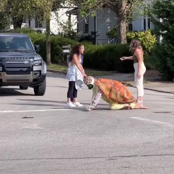 Man dressed as Turtle pisses off entire Neighborhood as he crosses the Street