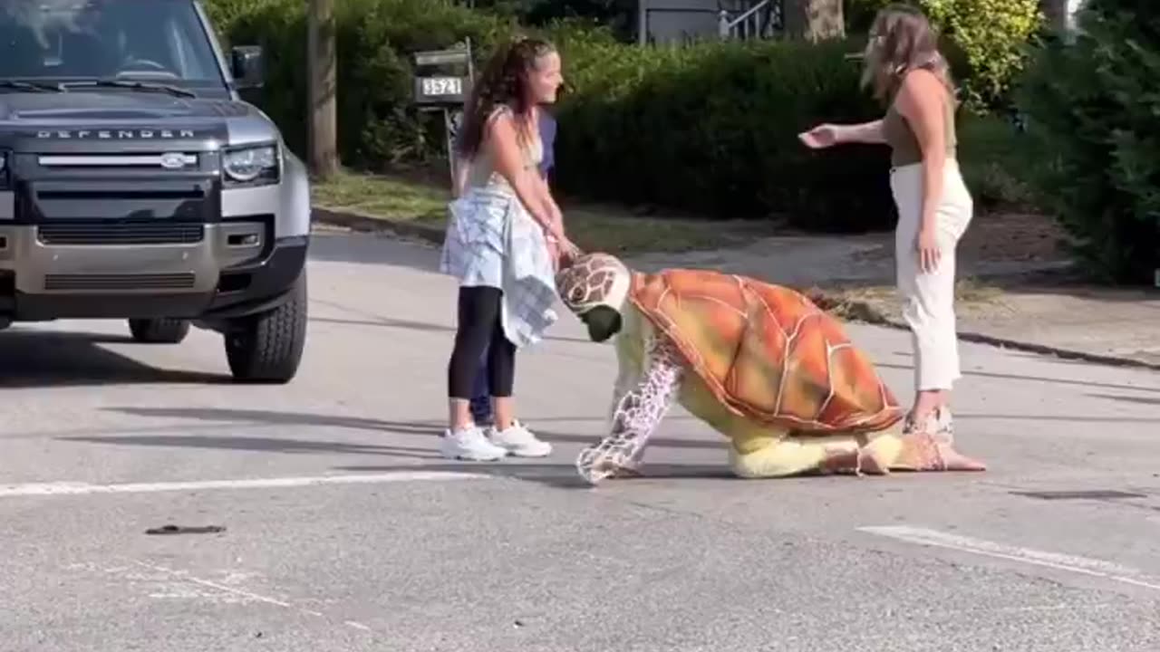 Man dressed as Turtle pisses off entire Neighborhood as he crosses the Street