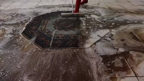 Satisfying Rug Steam Clean From Start To Finish