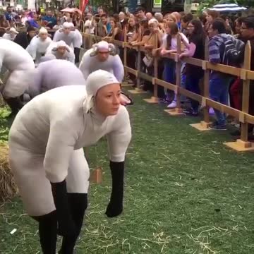 Humanity FAILED ! SHEEP ACTING- How can you be such a lamer ?