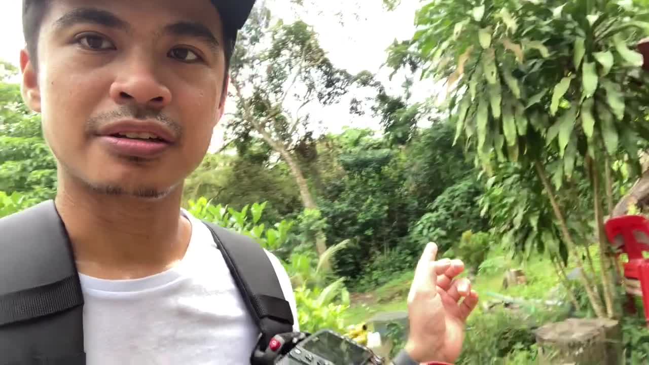 CAR THAT WAS ABANDONED IN BUKIT BROWN, SINGAPORE