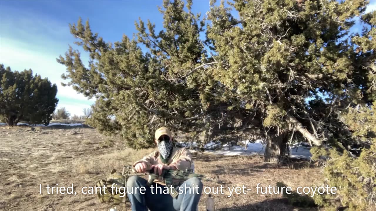 Monthly brief 02/2023