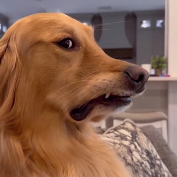 He literally judged me as I was filming this .