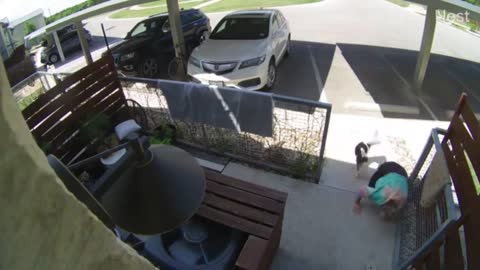 Woman Trips Carrying Her Dog, Gets up and Into Her House