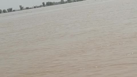 Satluj river