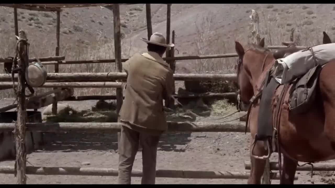 Pelicula De Vaqueros Llena De Aventura