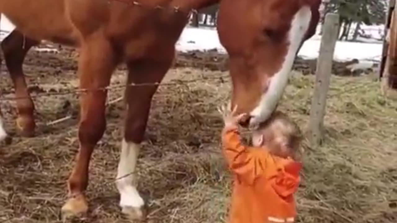 Little kids playing horse