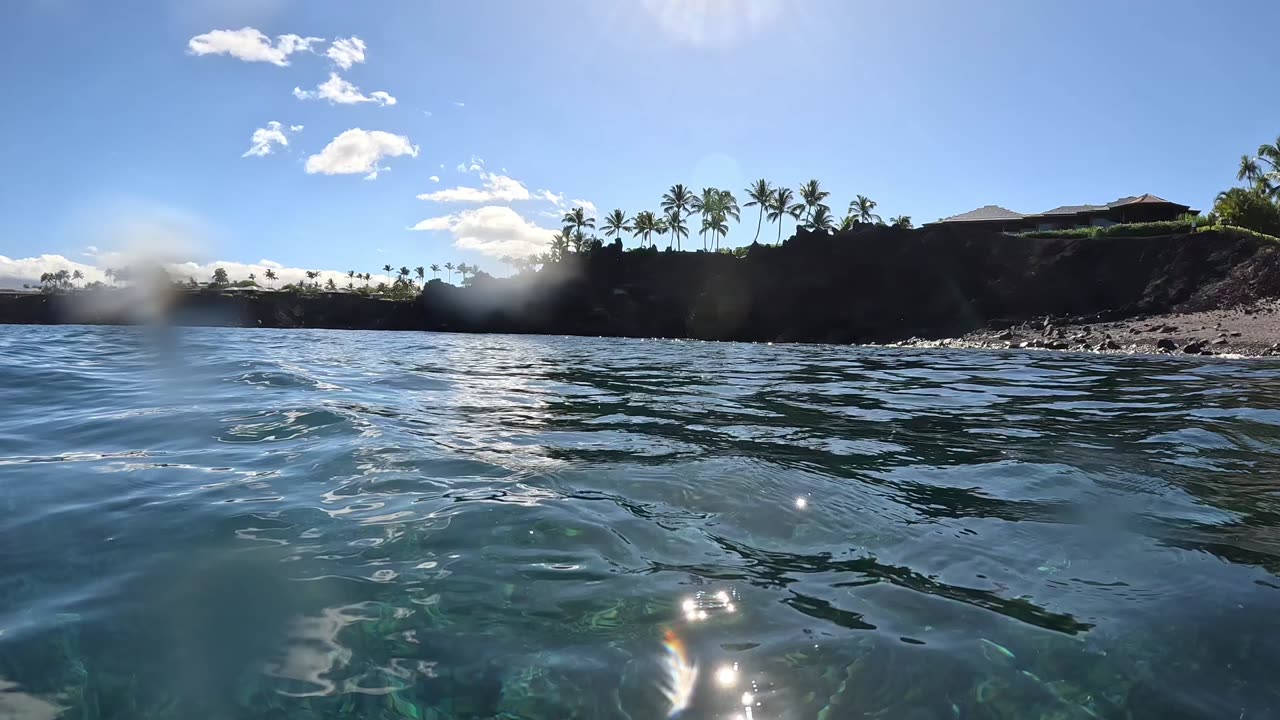 49’s Black Sand Mauna Lani Resort