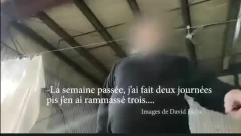 Témoignage d'un ambulancier