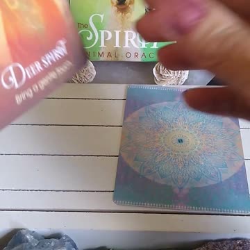 What Spirit Animals Are With You Today? #shorts