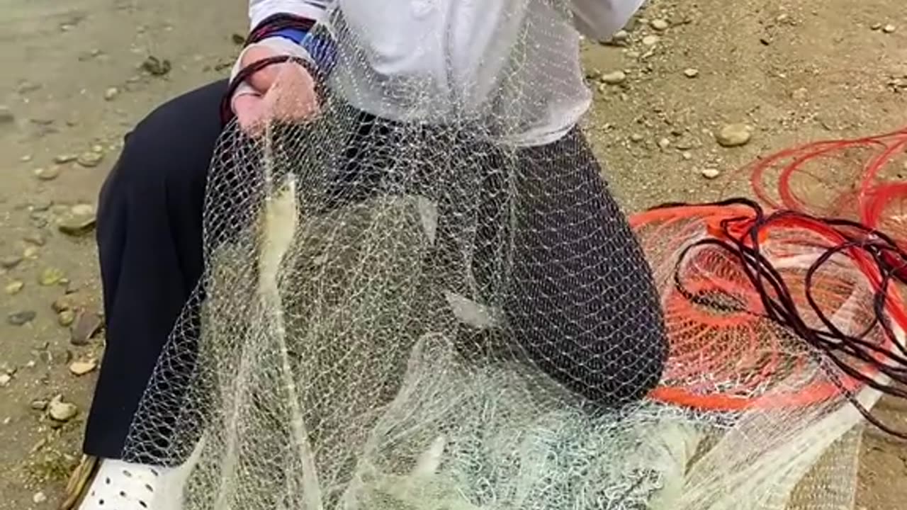 How to Catch Fish Net fishing