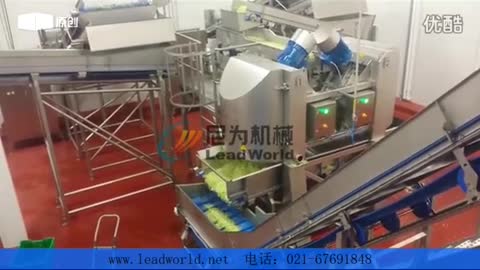 Industrial Leaf lettuce mixing salad automatic production line machine