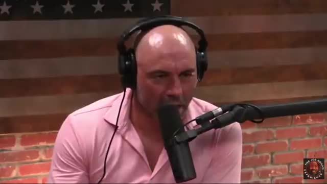 Joe Rogan & Elon Musk - Are We in a Simulated Reality?