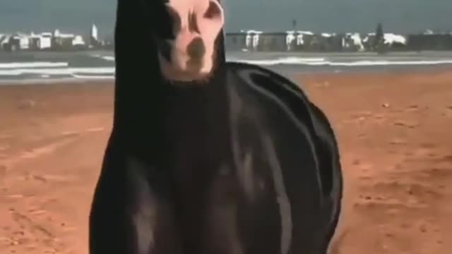 there are laws in nature